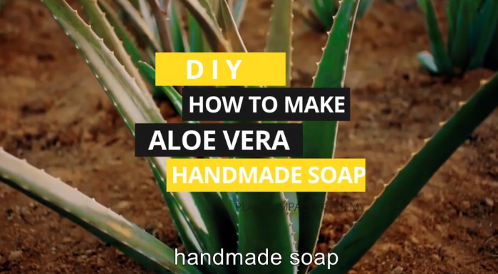 How to make aloe vera soap at home 